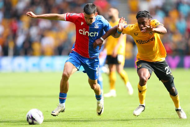 轻天才的饥 轻天才的饥